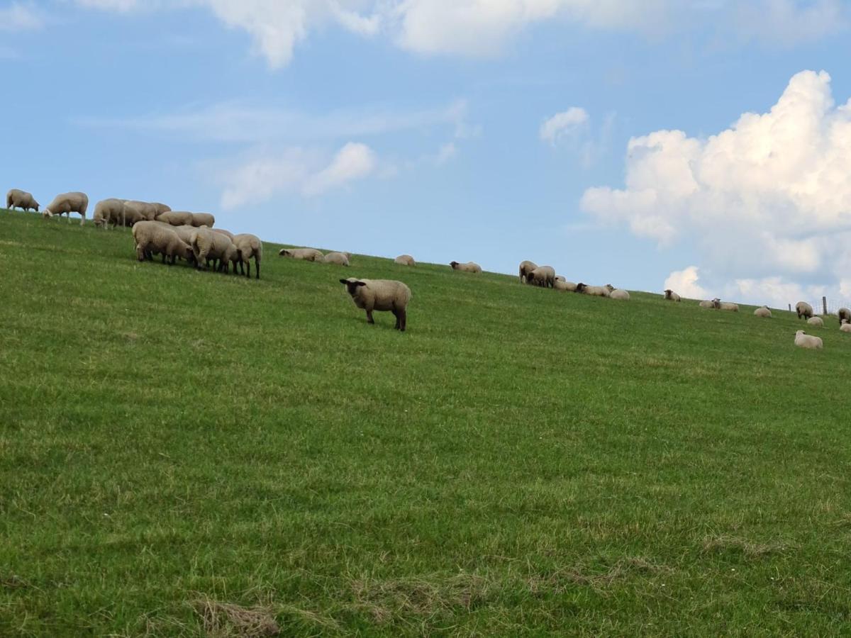 Watt'N Blick - Hundefreundliches Ferienhaus Mit Ausblick Ueber Die Wiesen Bis Zum Deich Schweiburg Εξωτερικό φωτογραφία
